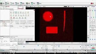 Latest Development: Use Rulers to Sample Fluorescence Intensity Values