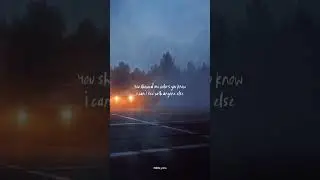 Taylor Swift - illicit affairs (Lyrics)