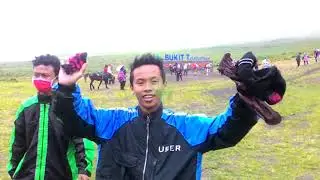 BUMEX Bromo