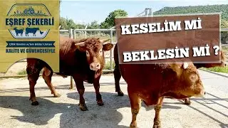 Keselim mi Beklesin mi?