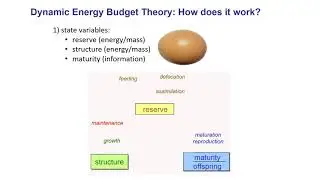 ENM2020 - W33T1 - Mechanistic Models - c
