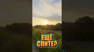 РАДИ ТАКОГО СТОИЛО ВСТАТЬ В 4 УТРА 🌄 | Бег 12 км #похудение #бег #худеюимотивирую #челлендж