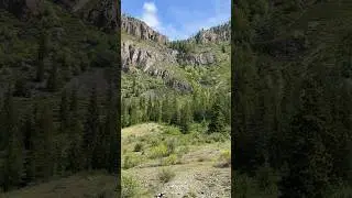 Алтай летом #алтай  #горы #алтайскийкрай