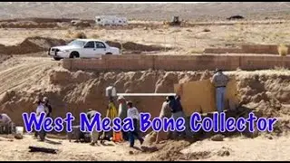 West Mesa Bone Collector