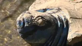 Отражения. Водослив.