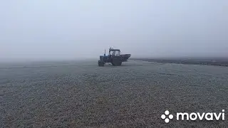 первая подкормка озимой пшеницы 22.02.2024