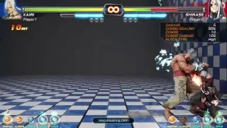 Fighting EX layer training mode