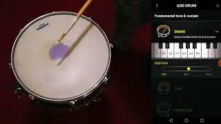 Como afinar una tarola, snare o caja con DrumTune Pro