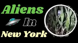 New York Alien on Video!