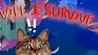 The video ends when I die (playing as a venuella in creatures of Sonaria)