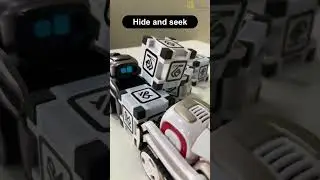 Leo's epic adventures - (Hide and seek!)