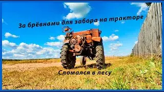 Рухнул забор. Еду на тракторе т-16 искать брёвна для столбов. Починил трактор в лесу.