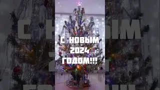 С НОВЫМ ГОДОМ!!!