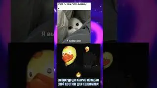 #memes