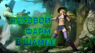Royal Quest - Часовой фарм в Шамбе
