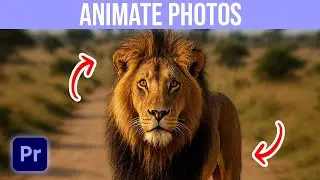 How To Animate Photos In Premiere Pro