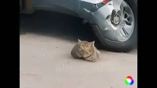 Объект мутировал🔬🦠🧪🧬