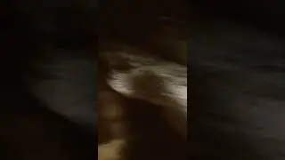 ночь в деревне