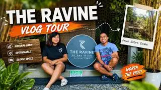 Exploring 'The Ravine' by One Selah: A Deep Dive into Its Meaning!