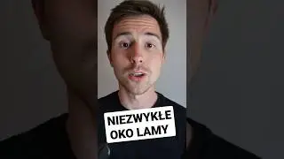 OKO LAMY w przybliżeniu wygląda niesamowicie!