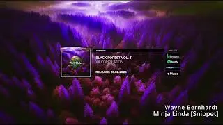 Wayne Bernhardt - Minha Linda [Snippet]