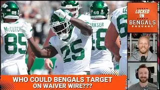 Identifying Potential Cincinnati Bengals Waiver Wire Targets | Will They Sign a Veteran?
