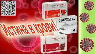 Арго | Кроветворная система и иммунитет. Антивирусные продукты. Омоложение крови