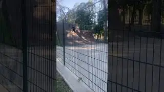 Парк корм 