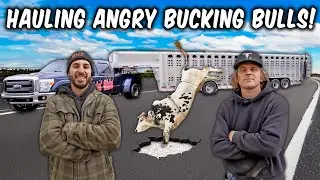 We Brought ANGRY PBR Bulls to A Small Town Rodeo!