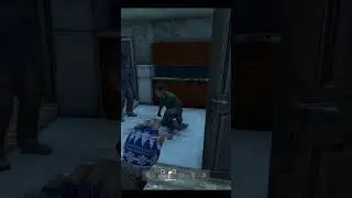 Kill Till I Die, DayZ