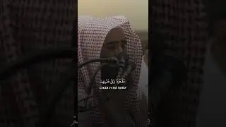 Все видео в хорошем качестве есть в телеграмм канале, ссылка в шапке профиля!!!