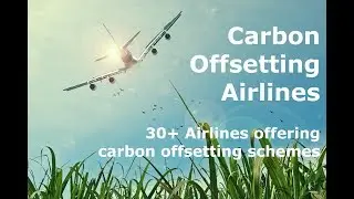 Carbon Offset Airlines That Compensate Carbon Footprint of Flights
