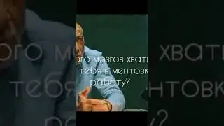 Пёс смешные моменты 