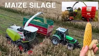 MAIZE SILAGE HARVEST