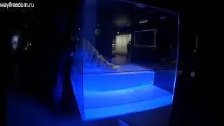 магнитное поле