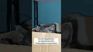 Вита и ее стремление ЖИТЬ