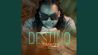 Mi DESTINO