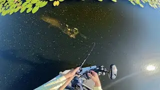 Fall Fishing for Monster Pike!