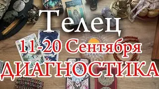 ♉ТЕЛЕЦ✨11-20 Сентября 2024✨