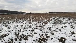 Ниви край Дебелец - 01.01.2020 г.