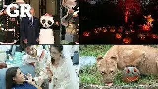 El espíritu de Halloween