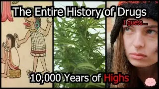 From Alcohol to Fentanyl: The History of Humans Taking Drugs