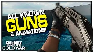 All Guns & Reload Animations in Black Ops Cold War! (Alpha)