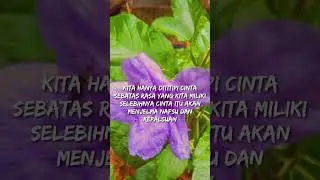 Dan Cinta pun Berubah Menjadi Nafsu dan Kepalsuan
