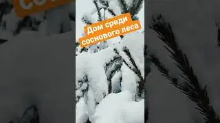 Дом среди соснового леса #shorts #зима #готовыйдом #строительстводомов#домсплоскойкрышей