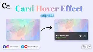 Card Hover Effect With HTML and CSS ||