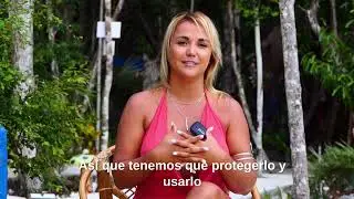 1 - Intro to Energy by Jenny Scordamaglia