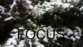 Focus