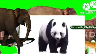 animals and dinosaurs stampede green screen remake