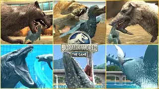 ALL CENOZOIC & ALL AQUATIC FEEDING OR HUNTING SCENE ANIMATION | Jurassic World The Game
